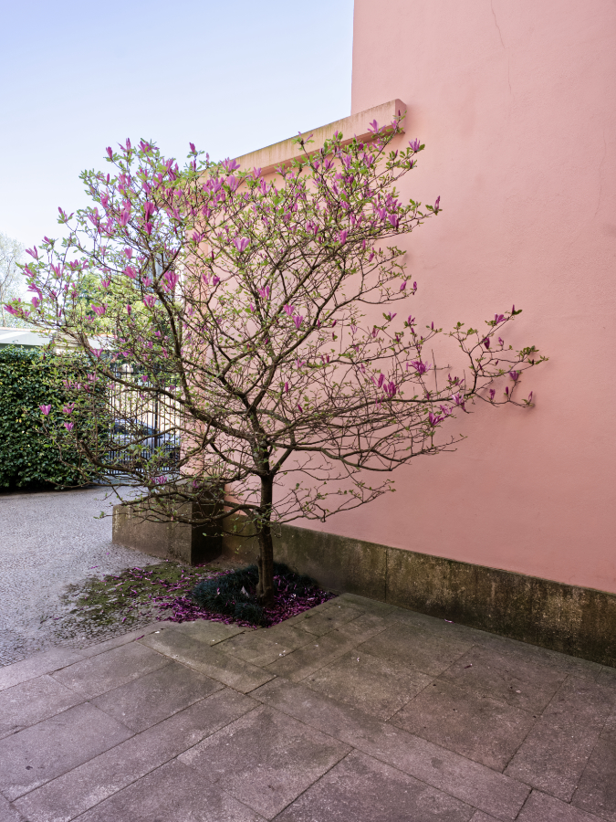 2021-07/serralves-1