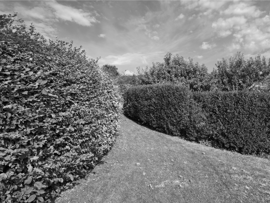 2021-07/soerensen-2