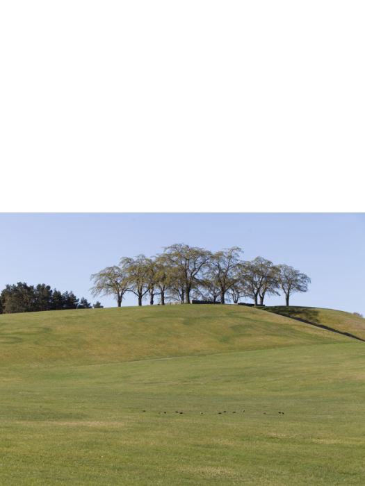 2022-04/img-3524-3