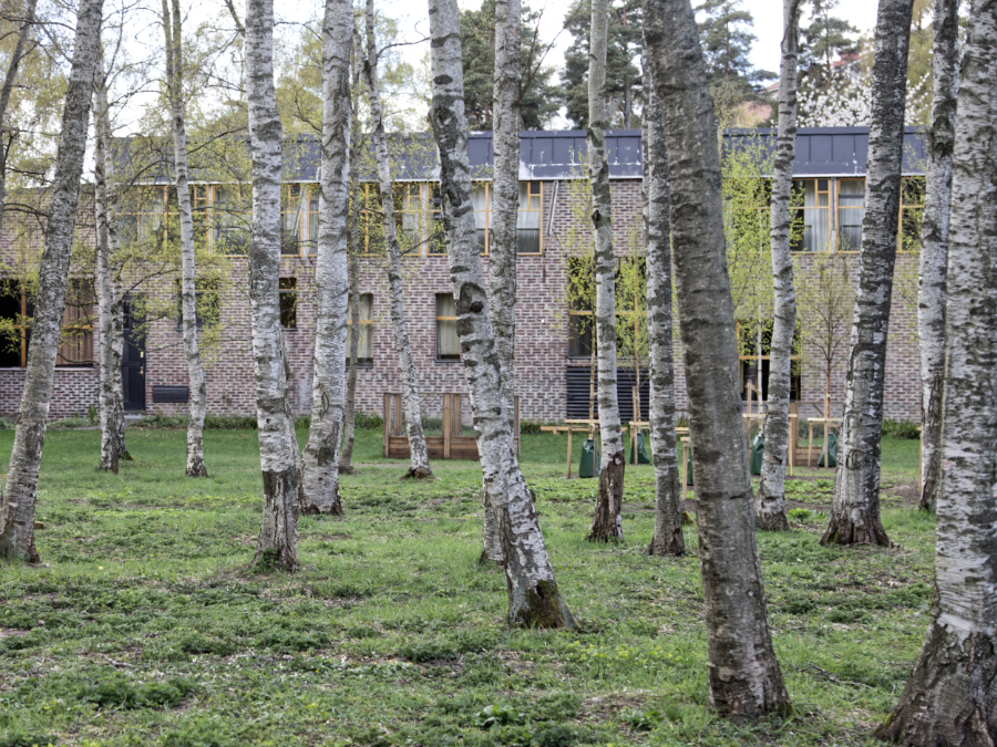 2022-05/lewerentz-1