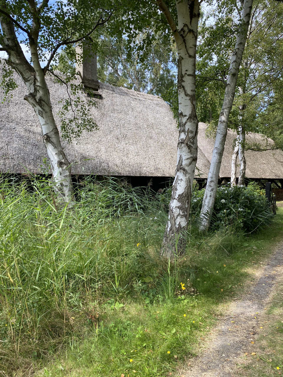 2022-06/img-3154